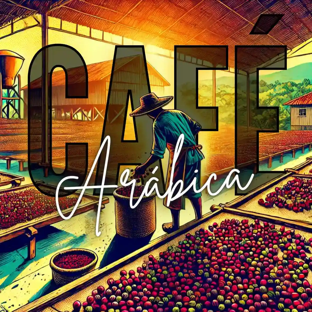 Ilustração de um trabalhador secando grãos de café Arábica em uma fazenda sob a luz dourada do pôr do sol