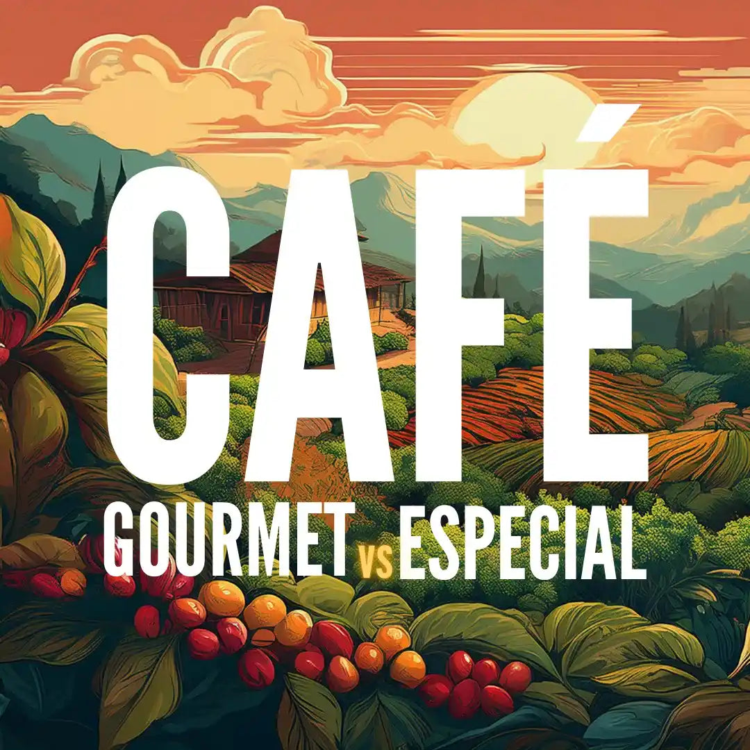 Café gourmet vs café especial em uma bela ilustração de uma fazenda de café, destacando as diferenças entre as duas categorias de café.